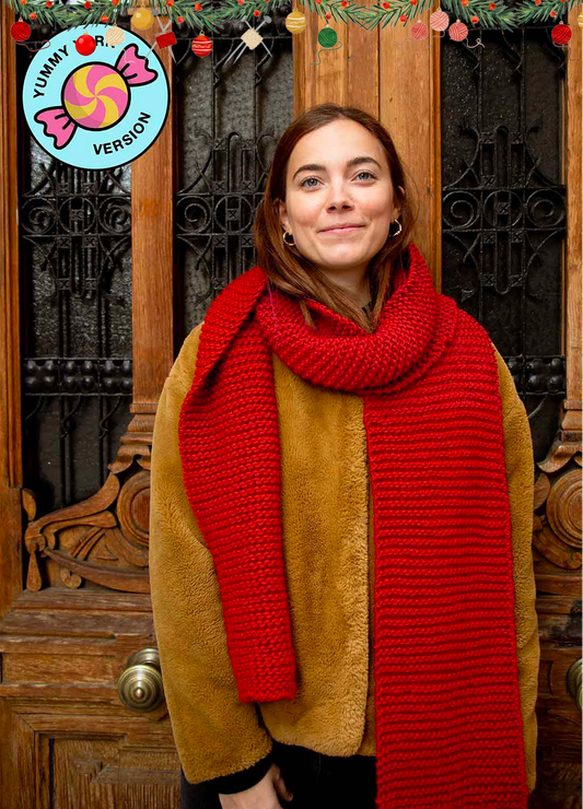 Melvoin Cardigan Kit - Yummy Yarn Version