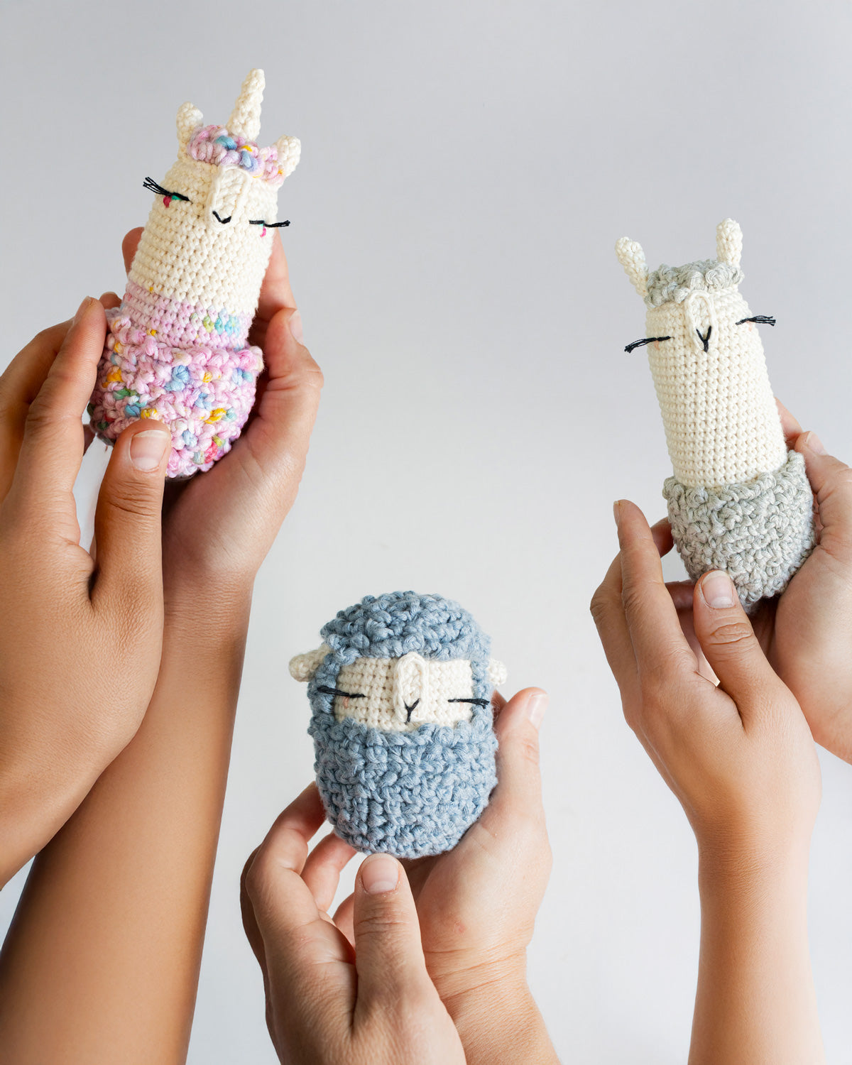 Amigurumis x @lalylaland Bundle Kit