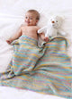 Dragonfly Blanket Kit