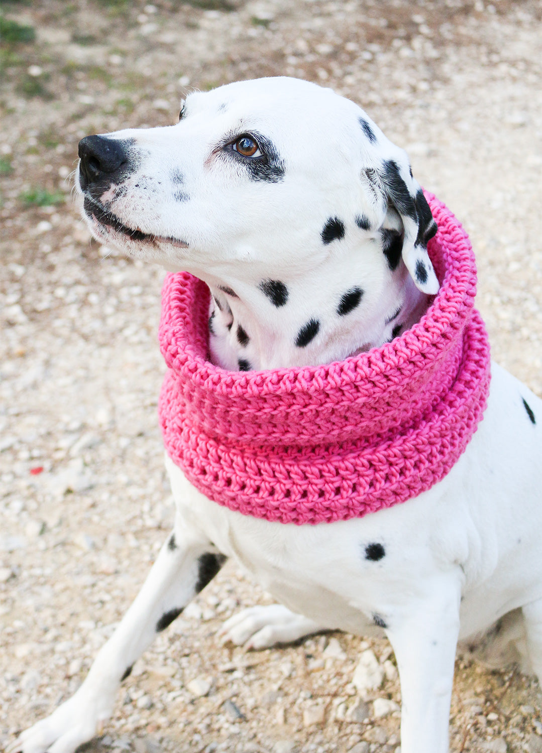 Rex Snood Digital Pattern