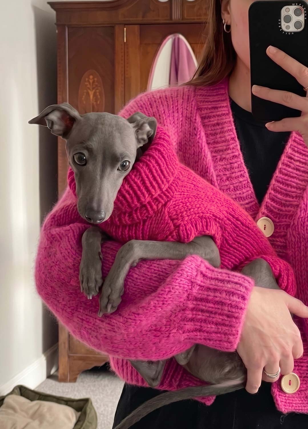 Scooby Sweater Kit for Pets - Yummy Version