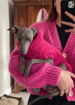 Scooby Sweater Kit para mascotas - Yummy Version
