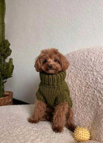 Scooby Sweater Kit para mascotas - Yummy Version