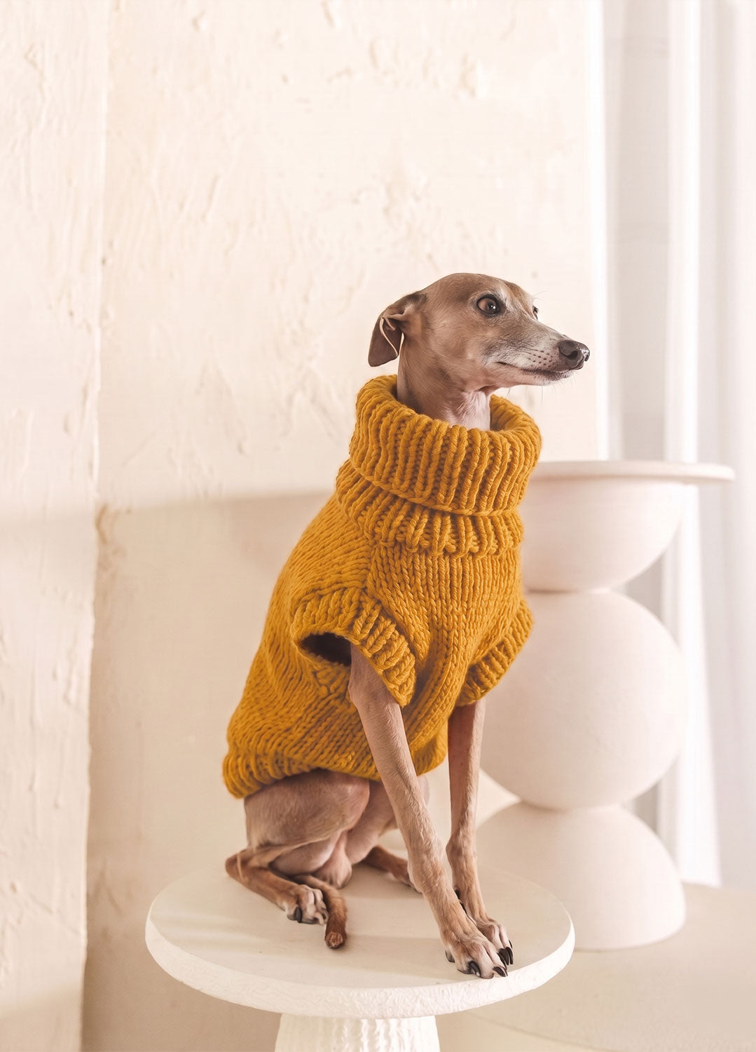 Scooby Sweater Kit para mascotas - Yummy Version