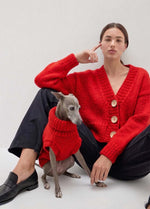Scooby Sweater Kit para mascotas - Yummy Version